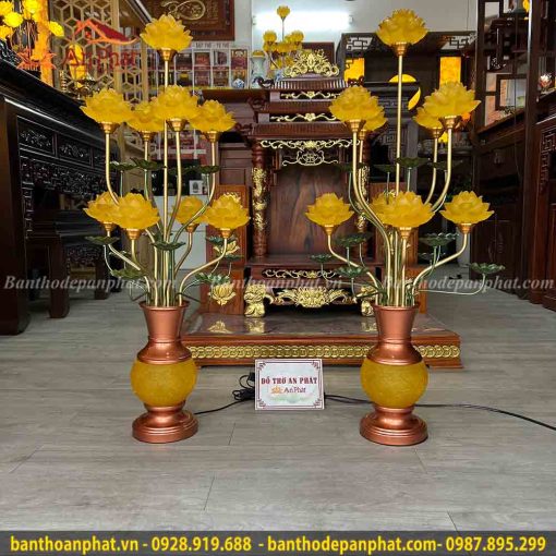 den tho cung mau hoa sen no ro than dong dt927 1