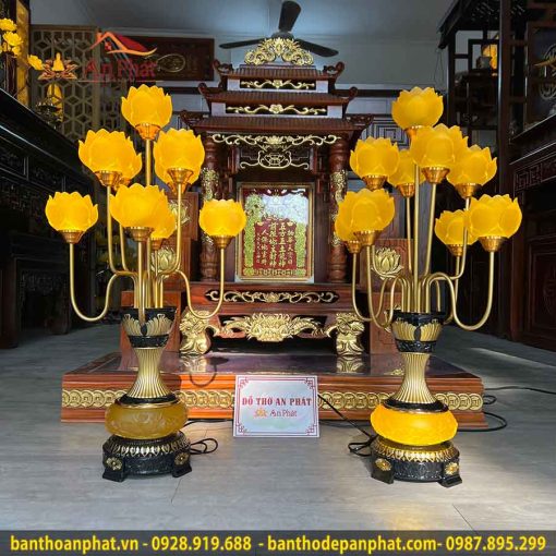 den tho dep luu ly 9 bong canh vong dt944 3