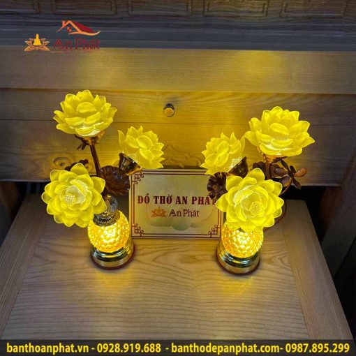 den tho luu ly 3 bong dt961 2