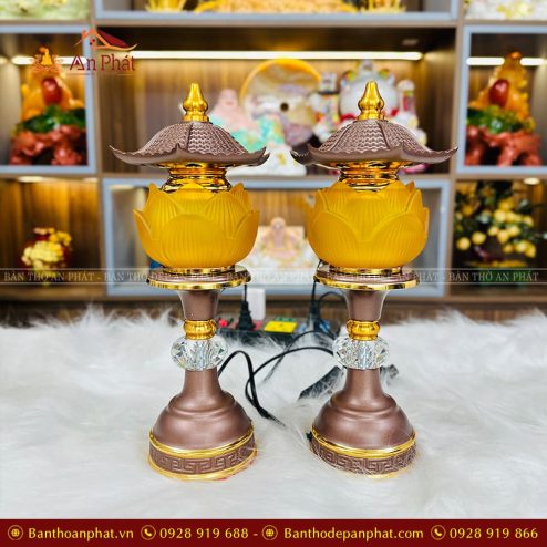 den tho luu ly 1 bong dep dt1031 1