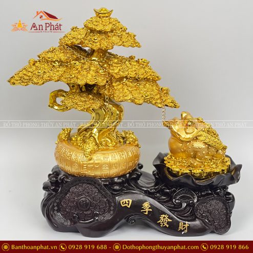 Cây Kim Tiền Kết Hợp Thiền Thư May Mắn Tài Lộc VP0118