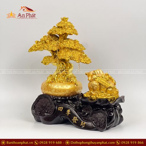 Cây Kim Tiền Vàng