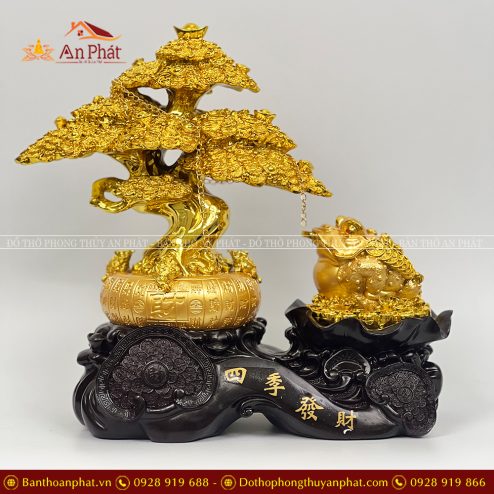 Cây Kim Tiền Kết Hợp Thiền Thư May Mắn Tài Lộc VP0118