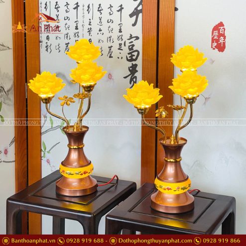 den tho luu ly 3 bong bung det hoa sen dt1081 3