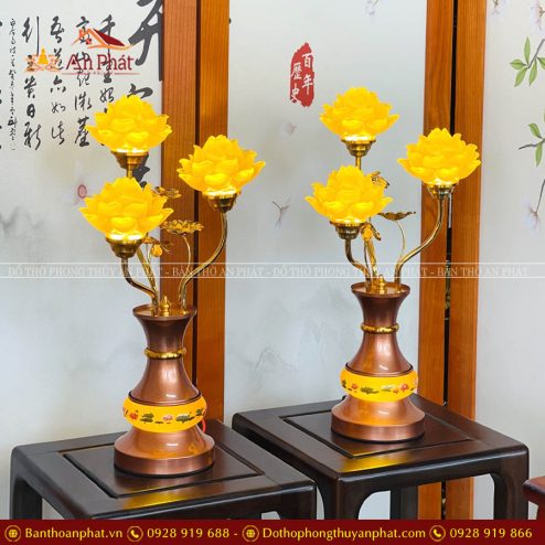 den tho luu ly 3 bong bung det hoa sen dt1081 4